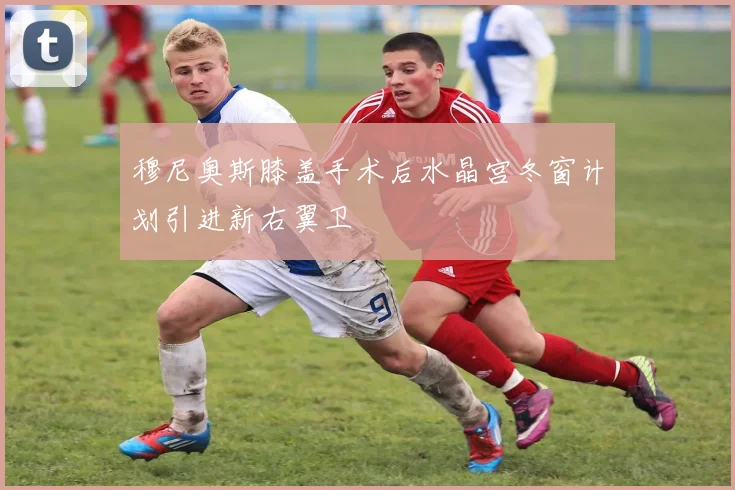 穆尼奥斯膝盖手术后水晶宫冬窗计划引进新右翼卫