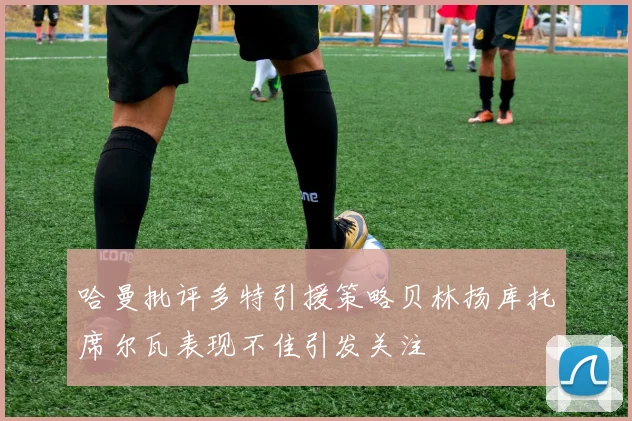 哈曼批评多特引援策略贝林扬库托席尔瓦表现不佳引发关注