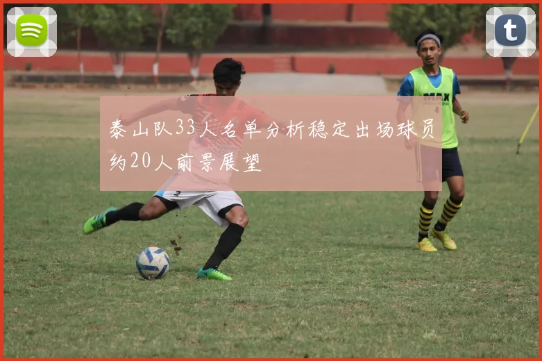 泰山队33人名单分析稳定出场球员约20人前景展望