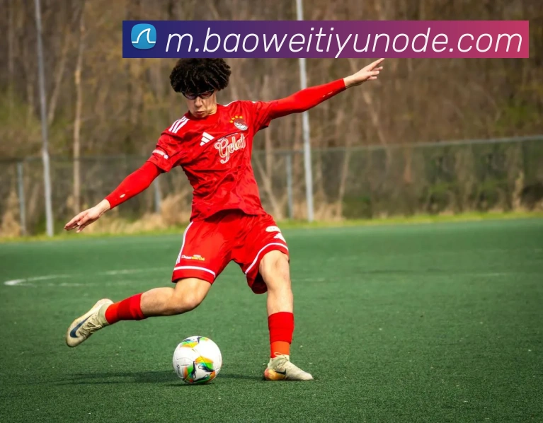 宝威体育平台生态图