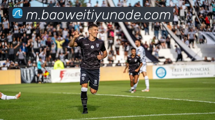 宝威体育APP 封面图